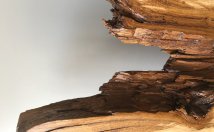 impregnated raw timber