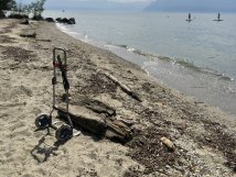 Un tronc de hêtre trouvé au bord du lac